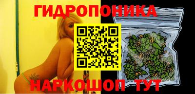 СК Канаш
