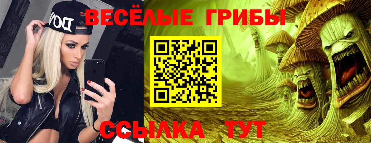 Псилоцибиновые грибы мухоморы Дербент